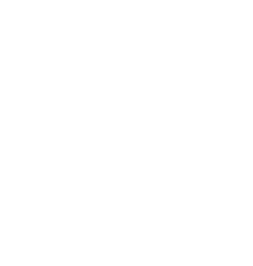 Fluid Heaters